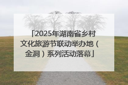 2025年湖南省乡村文化旅游节联动举办地（金洞）系列活动落幕