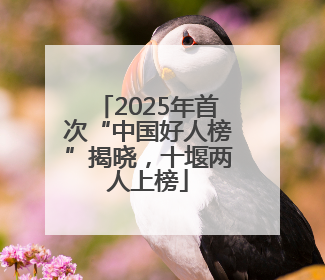 2025年首次“中国好人榜”揭晓，十堰两人上榜