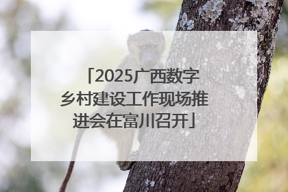 2025广西数字乡村建设工作现场推进会在富川召开
