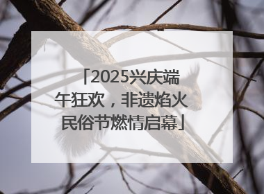 2025兴庆端午狂欢，非遗焰火民俗节燃情启幕