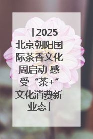 2025北京朝阳国际茶香文化周启动 感受“茶+”文化消费新业态
