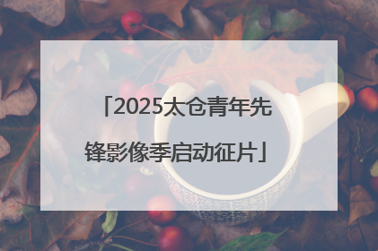 2025太仓青年先锋影像季启动征片