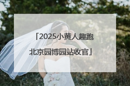 2025小黄人趣跑北京园博园站收官