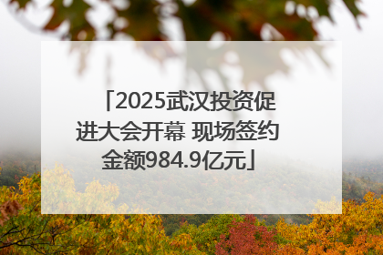 2025武汉投资促进大会开幕 现场签约金额984.9亿元