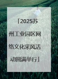 2025苏州工业园区网络文化采风活动圆满举行