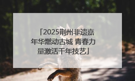 2025荆州非遗嘉年华燃动古城 青春力量激活千年技艺
