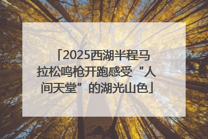 2025西湖半程马拉松鸣枪开跑感受“人间天堂”的湖光山色