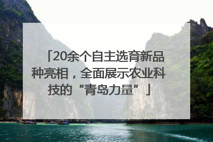 20余个自主选育新品种亮相，全面展示农业科技的“青岛力量”