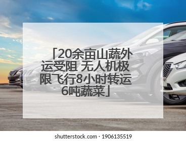 20余亩山蔬外运受阻 无人机极限飞行8小时转运6吨蔬菜