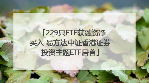 229只ETF获融资净买入 易方达中证香港证券投资主题ETF居首