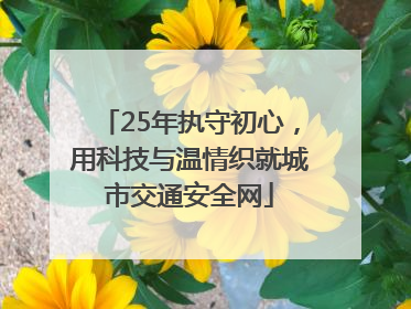 25年执守初心，用科技与温情织就城市交通安全网