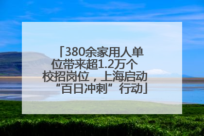 380余家用人单位带来超1.2万个校招岗位，上海启动“百日冲刺”行动