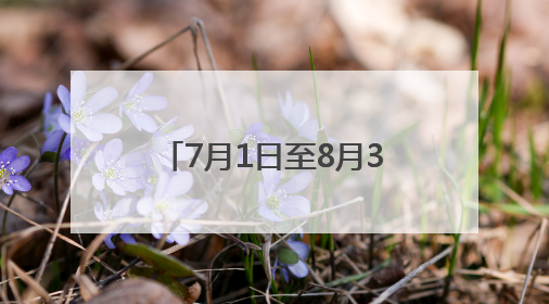 7月1日至8月31日期间 青岛开通暑期免费公交专线
