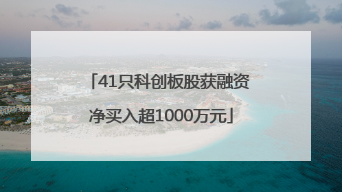 41只科创板股获融资净买入超1000万元