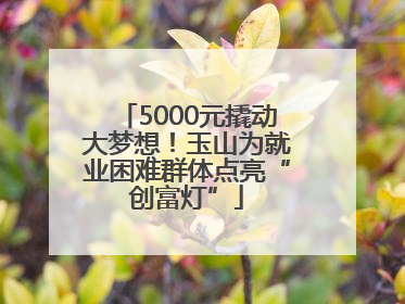 5000元撬动大梦想！玉山为就业困难群体点亮“创富灯”