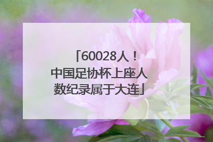 60028人！中国足协杯上座人数纪录属于大连