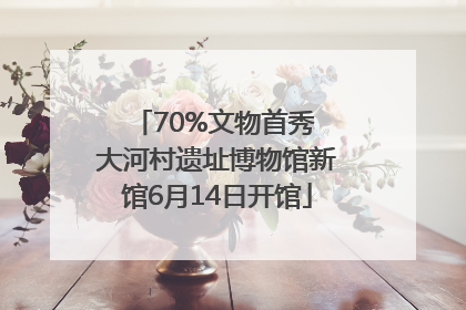 70%文物首秀 大河村遗址博物馆新馆6月14日开馆