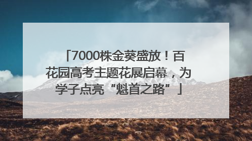 7000株金葵盛放！百花园高考主题花展启幕，为学子点亮“魁首之路”