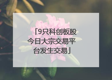 9只科创板股今日大宗交易平台发生交易
