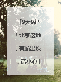 9天9起！北京这地，有蛇出没，请小心
