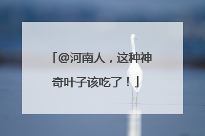 @河南人，这种神奇叶子该吃了！