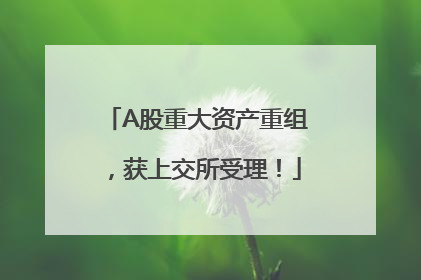 A股重大资产重组，获上交所受理！