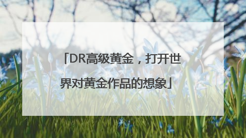 DR高级黄金，打开世界对黄金作品的想象