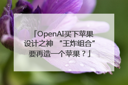 OpenAI买下苹果设计之神 “王炸组合”要再造一个苹果？